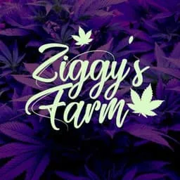 ZiggyFarmShop Telegram bot avatar