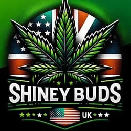 ShineyBuds Telegram bot avatar