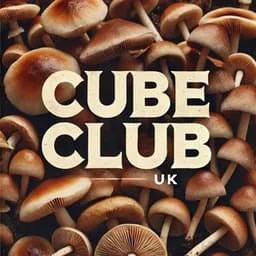 CubeClubUK Telegram bot avatar